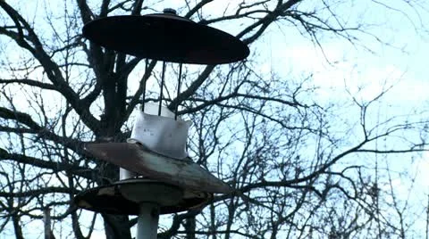 Broken lamppost in nature Stock Footage 10678950