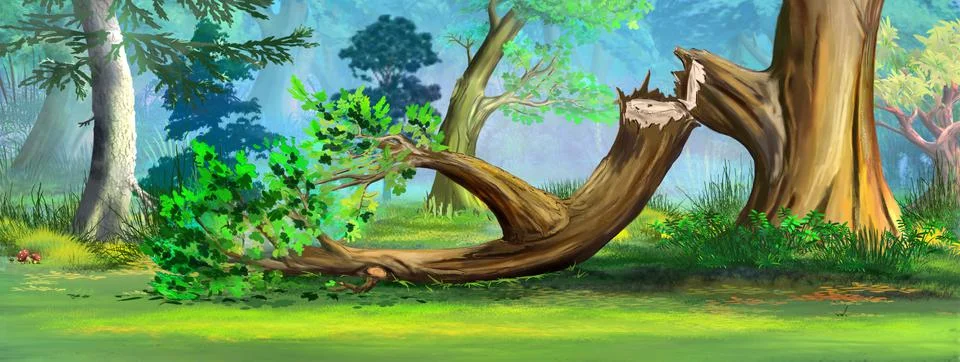 Broken large tree branch in the forest Stock Illustration