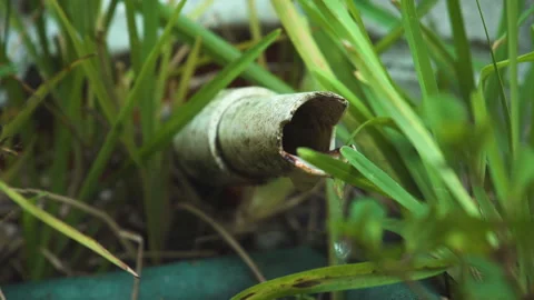 Leaky Pipe Stock Videos – Royalty-Free HD & 4K Videos | Pond5