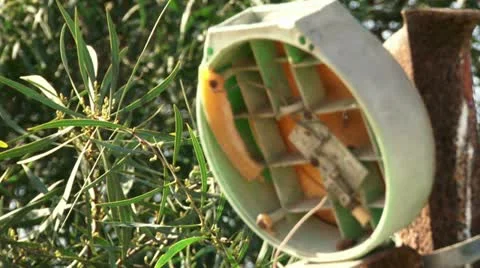 Broken light ch-focus Stock Footage 20509514