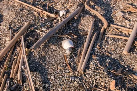 Broken lightbulb on the beach Stock Photos