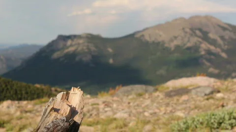 Broken Limb Foreground with Mountains Stock Footage 810320