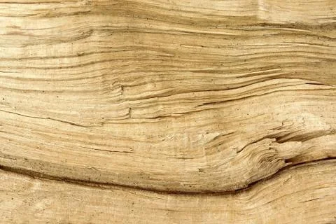 Broken log as a texture Stock Photos