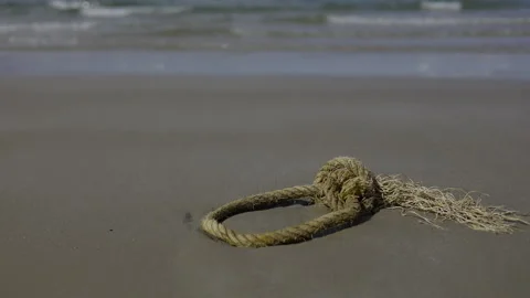 Broken Marine Rope Abandoned On The Sandy Beach Stock Footage 342482519