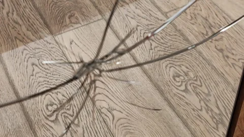 Broken mirror as bad luck Stock Footage 280008979
