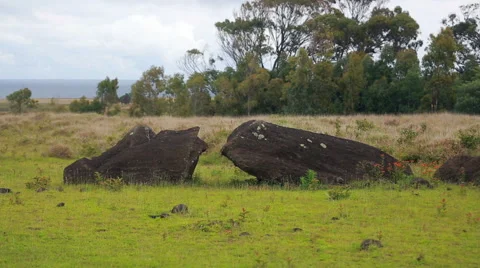 Broken Moai statue laying on the ground 스톡 동영상 64258471