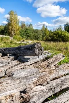 Broken old cut tree logs piled up near a forest road in summer. Deforestati.. Fotos Stock