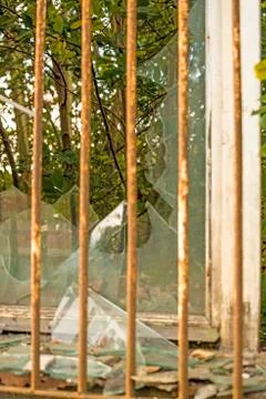 Broken old window with grid and view to green Stock Photos