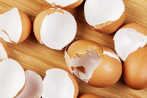 Broken Organic Brown Eggshells with copy space Stock Photos