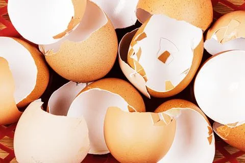 Broken Organic Brown Eggshells with copy space Stock Photos