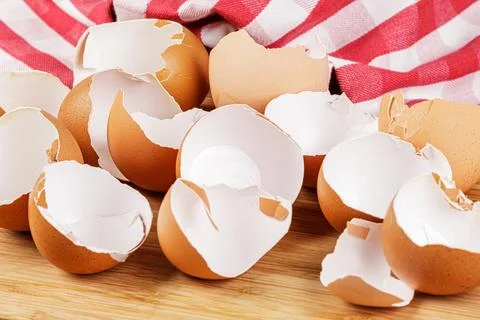 Broken Organic Brown Eggshells with copy space Stock Photos