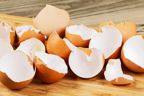 Broken Organic Brown Eggshells with copy space Stock Photos