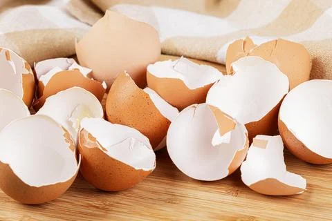 Broken Organic Brown Eggshells with copy space Stock Photos