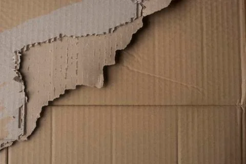 Broken paperboard layers Stock Photos