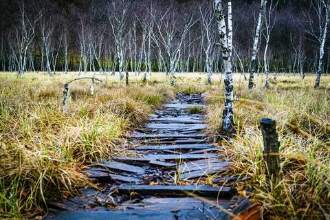 Broken path Stock Photos