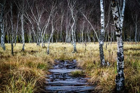 Broken path Stock Photos
