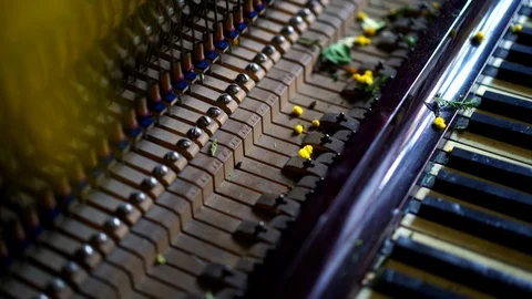 Broken piano Video stock 87923062