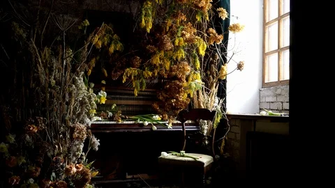 Broken piano Stock Footage 87924556