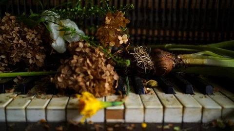 Broken piano Stockbeeldmateriaal 87924699