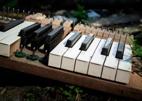 Broken piano with missing keyes scattered on the ground among plants and stones. Stock Photos
