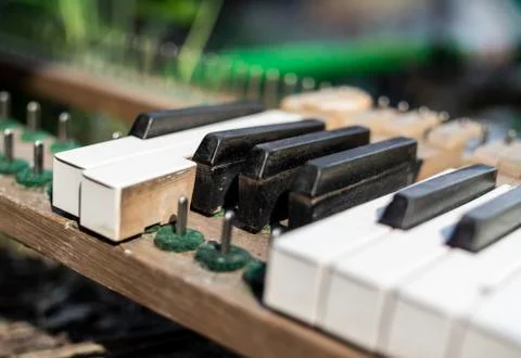 Broken piano with missing keyes scattered on the ground among plants and stones. Foto stock