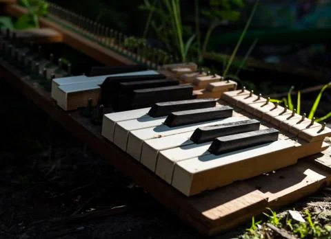 Broken piano with missing keyes scattered on the ground among plants and stones. Stock Photos