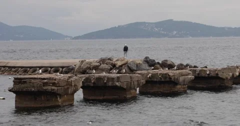 Broken pier with gulls; lone walker on seawall, gray Istanbul seascape Stock Footage 320171251