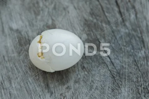 Broken pigeon egg shell on wood background Stock Photos