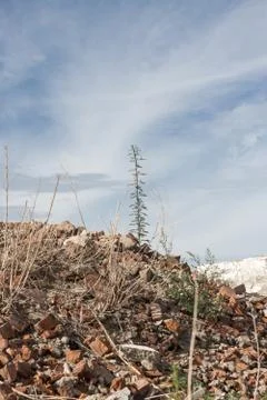 Broken pile of bricks on blue sky background Stock Photos