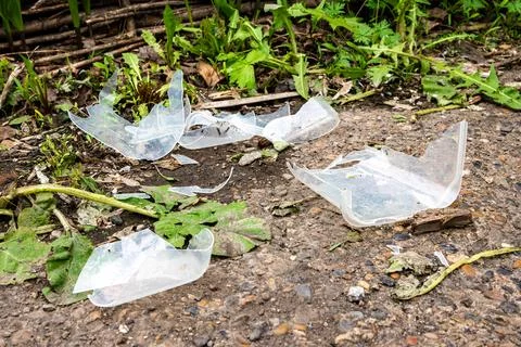 Broken plastic container fragments on ground surface Stock Photos