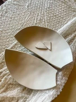 Broken Plate in Packaging 스톡 사진