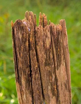 Broken post and eroded by weather Foto stock
