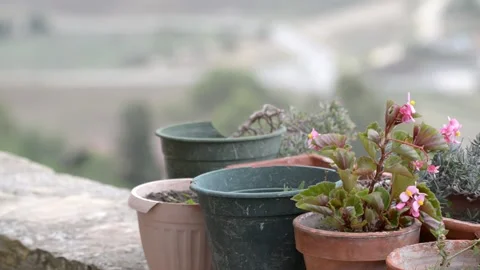 Broken pots in the garden Video stock 143582943