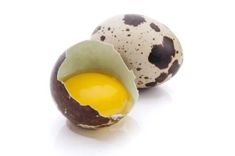 Broken quail egg Stock Photos