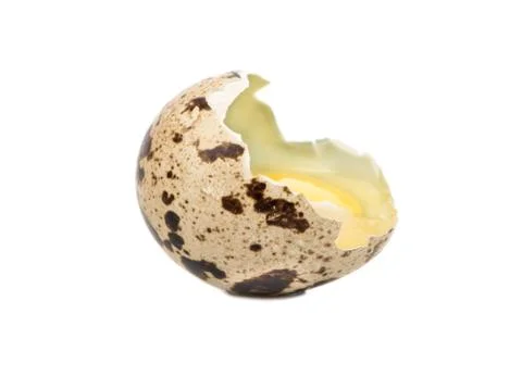 Broken quail egg Stock Photos