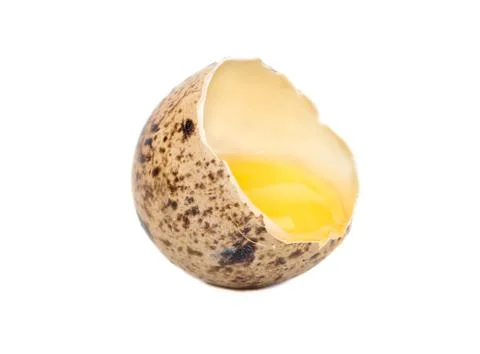 Broken quail egg Stock Photos