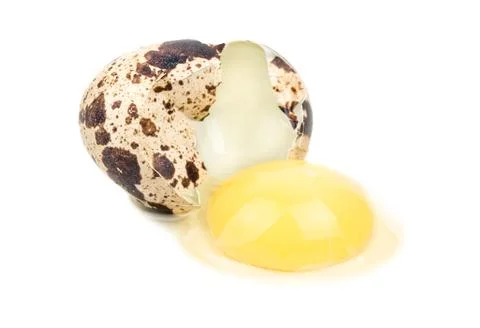 Broken quail egg Stock Photos