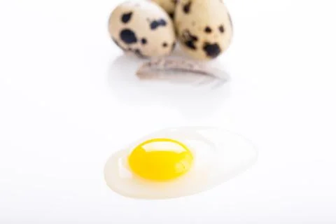 Broken quail egg Stock Photos