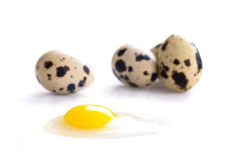 Broken quail egg Stock Photos