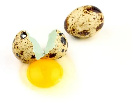 Broken quail egg on white background, close up Stock Photos