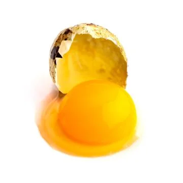 Broken quail egg on white background; eco product; healthy food Stock-Fotos