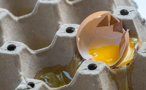 Broken Raw Egg Spilling onto a Cardboard Egg Tray Stock Photos