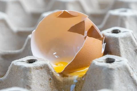 Broken Raw Egg Spilling onto a Cardboard Egg Tray Stock Photos