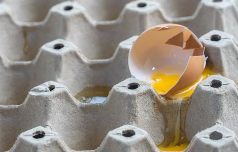 Broken Raw Egg Spilling onto a Cardboard Egg Tray Stock Photos