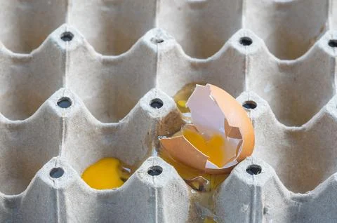 Broken Raw Egg Spilling onto a Cardboard Egg Tray Stock Photos