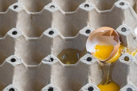 Broken Raw Egg Spilling onto a Cardboard Egg Tray Stock Photos