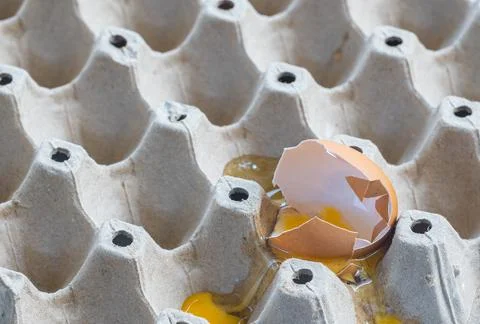Broken Raw Egg Spilling onto a Cardboard Egg Tray Stock Photos