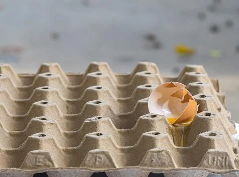 Broken Raw Egg Spilling onto a Cardboard Egg Tray Stock Photos