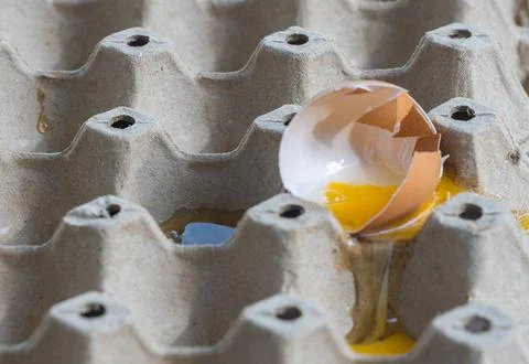 Broken Raw Egg Spilling onto a Cardboard Egg Tray Stock Photos