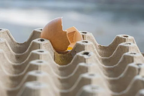 Broken Raw Egg Spilling onto a Cardboard Egg Tray Stock Photos